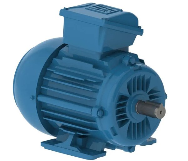 W22Xec: Hazardous Area Motor for Zone 2/22 Applications | WEG